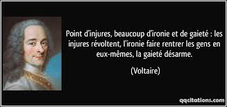 L'ironie selon Voltaire.jpg