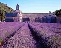 La Provence.jpg